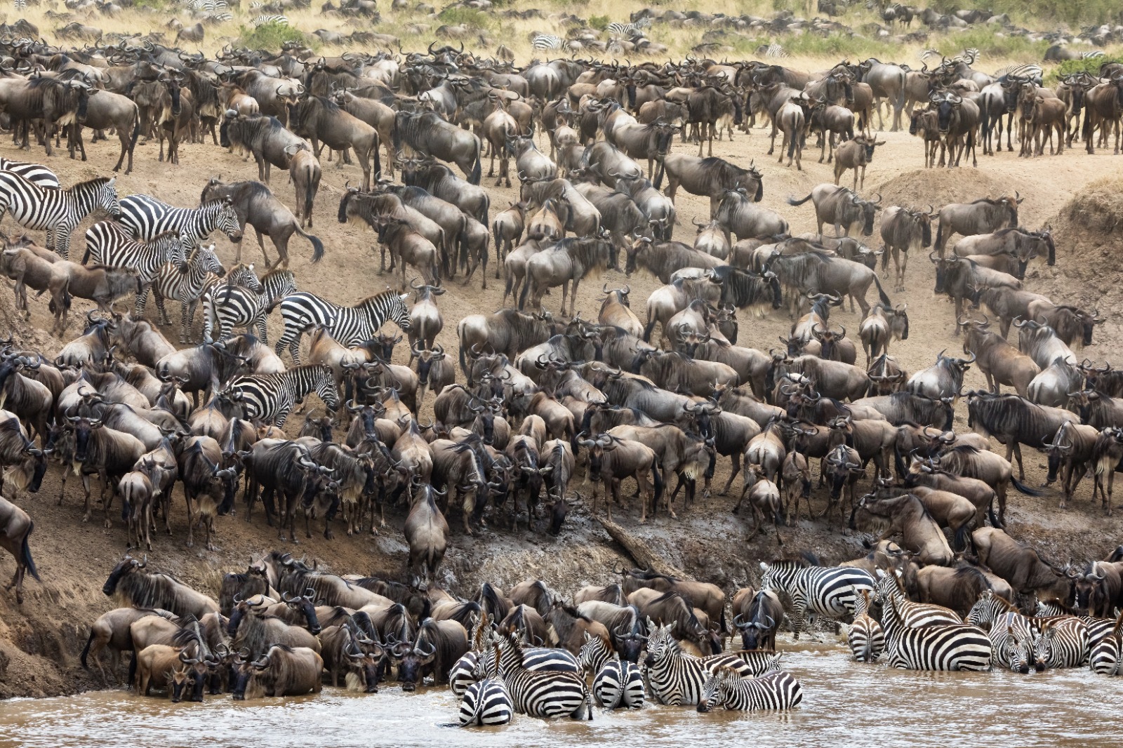 Tanzania