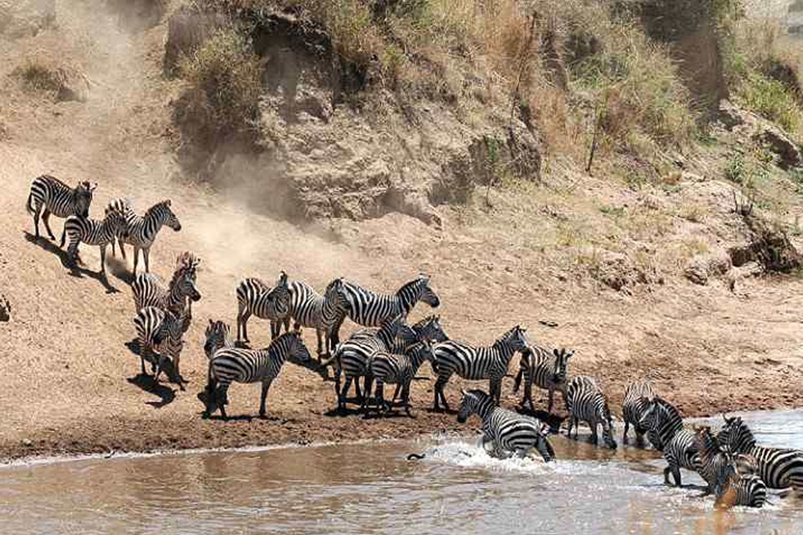 7-Day Kenya and Tanzania Wildlife Safari